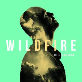 Album cover of Wildfire