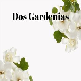 Album cover of Dos Gardenias