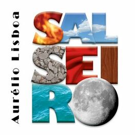 Album cover of Salseiro