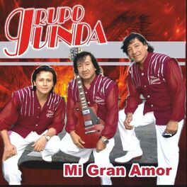 Album cover of Mi Gran Amor