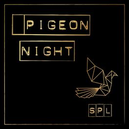 Album cover of Pigeon Night