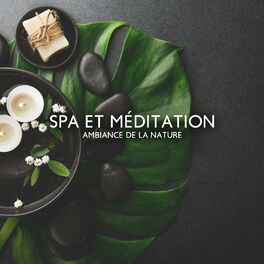 Album cover of Spa et méditation (Ambiance de la nature, Tranquillité, Après-midi détente)