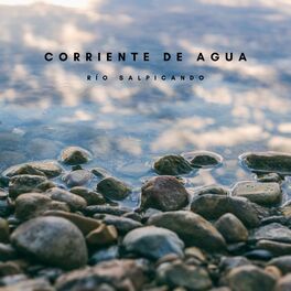 Album cover of Corriente De Agua: Río Salpicando