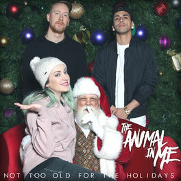 Album cover of Not Too Old for the Holidays