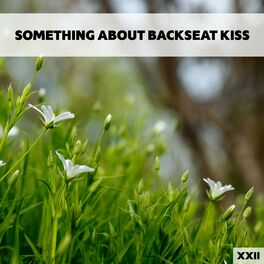 Album cover of Something About Backseat Kiss XXII