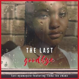 Album cover of The Last Goodbye