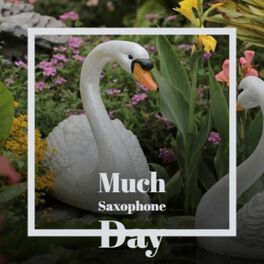 Album cover of Much Saxophone Day