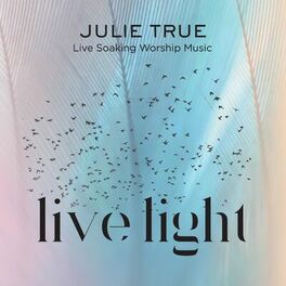 Album cover of Live Light: Live Soaking Worship Music