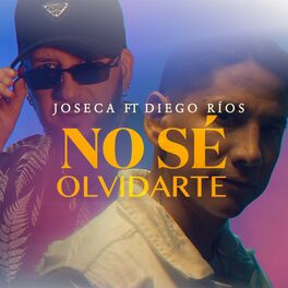 Album cover of No Sé Olvidarte