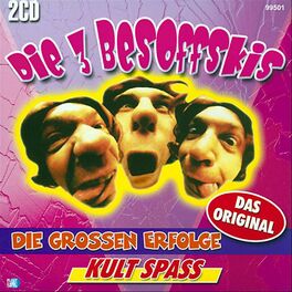 Album cover of Die grossen Erfolge
