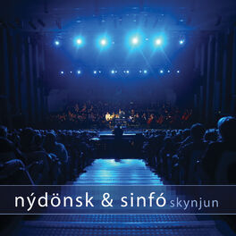 Album cover of Skynjun