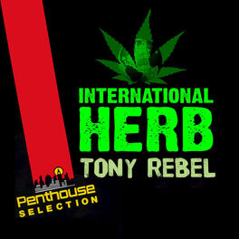 Album cover of International Herb