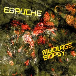 Album cover of Mucilage Biopsy