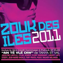 Album cover of Zouk des iles 2011 (16 French Caribbean Hits)