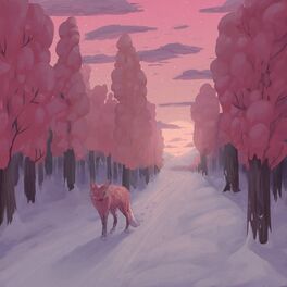 Album cover of Night Skies