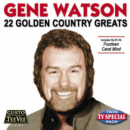 Album cover of 22 Golden Country Greats