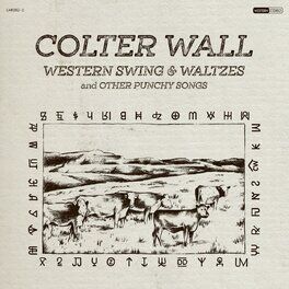 Album cover of Western Swing & Waltzes and Other Punchy Songs