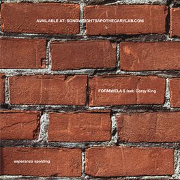 Album cover of Formwela 5