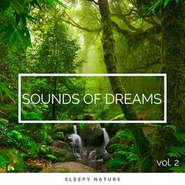 Album cover of 2022 Sounds of Dreams vol. 2