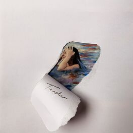 Album cover of Tender