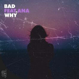 Album cover of Why