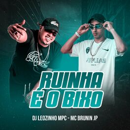 Album cover of Ruinha é o bixo