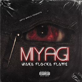 Album cover of Miyagi
