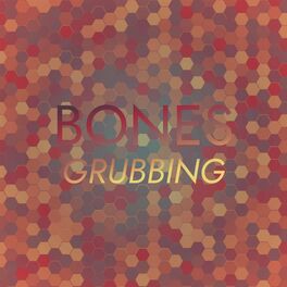Album cover of Bones Grubbing