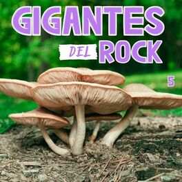 Album cover of Gigantes Del Rock Vol.5