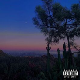Album cover of lost in the world