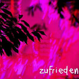 Album cover of Zufrieden
