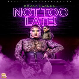 Album cover of Not Too Late!