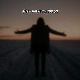 Album cover of Where Did You Go (Radio Edit)