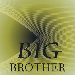 Album cover of Big Brother
