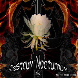 Album cover of Cestrum Nocturnum