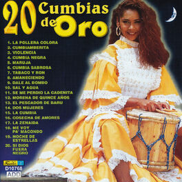 Album cover of 20 Cumbias de Oro