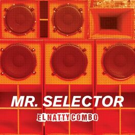 Album cover of Mr. Selector