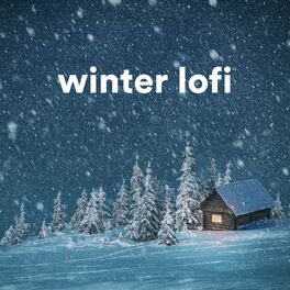 Album cover of winter lofi
