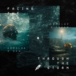 Album cover of Facing The Sea / Through The Storm