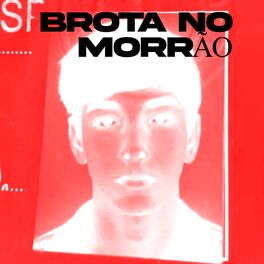 Album cover of Brota no Morrão