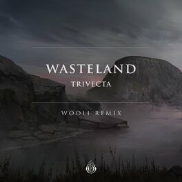 Album cover of Wasteland (Wooli Remix)