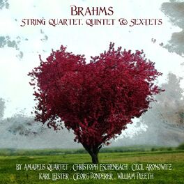 Album cover of Brahms: String Quartet, Quintet & Sextet