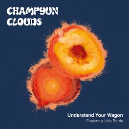 Album cover of Understand Your Wagon