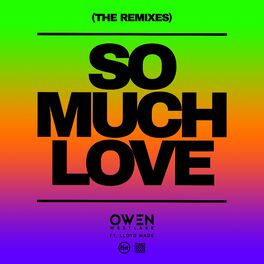 Album cover of So Much Love (feat. Lloyd Wade) (The Remixes)