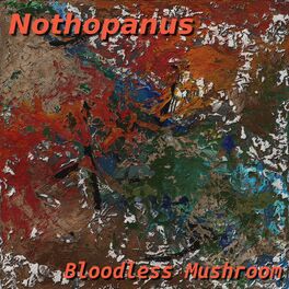 Album cover of Nothopanus
