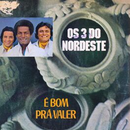 Album cover of É Bom Pra Valer