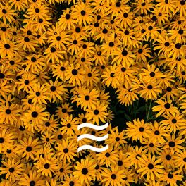 Album cover of Restful Sleep Soft Sounds of Noises