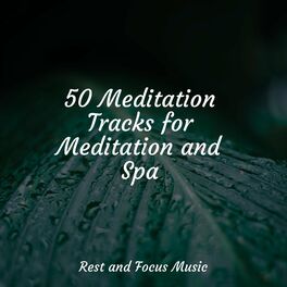 Album cover of 50 Meditation Tracks for Meditation and Spa