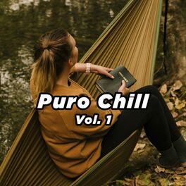 Album cover of Puro Chill Vol. 1