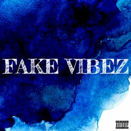 Album cover of Fake Vibez